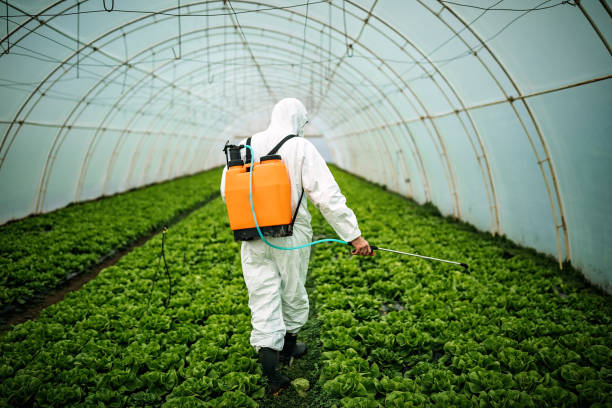Pest Control Cost in Cedarhurst, NY