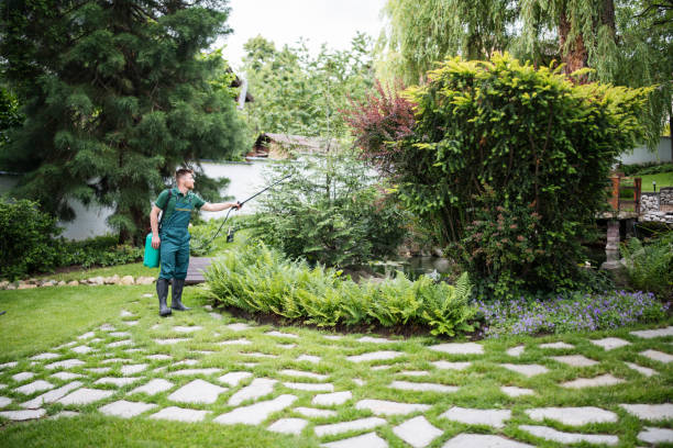 Best Emergency Pest Control  in Cedarhurst, NY