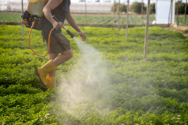 Best Pest Control Cost  in Cedarhurst, NY