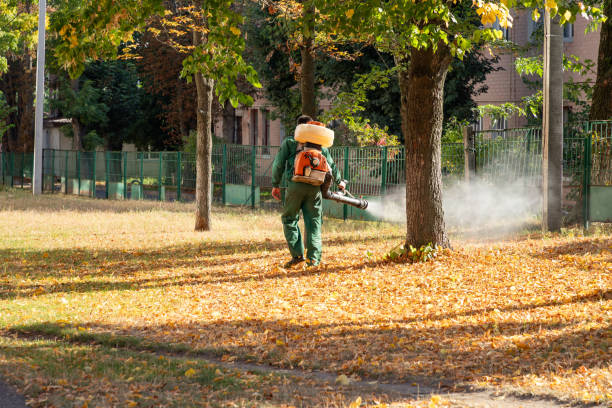 Reliable Cedarhurst, NY Pest Control Solutions