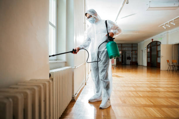 Best Local Pest Control Services  in Cedarhurst, NY